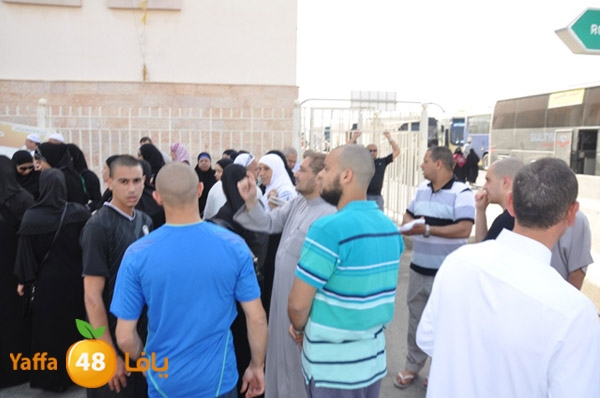 3omranewyaffa326 (24).JPG